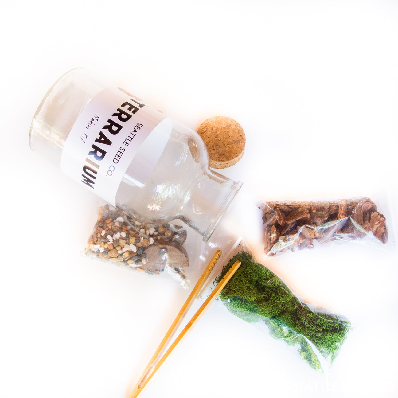 Date Night In DIY Terrarium Kit