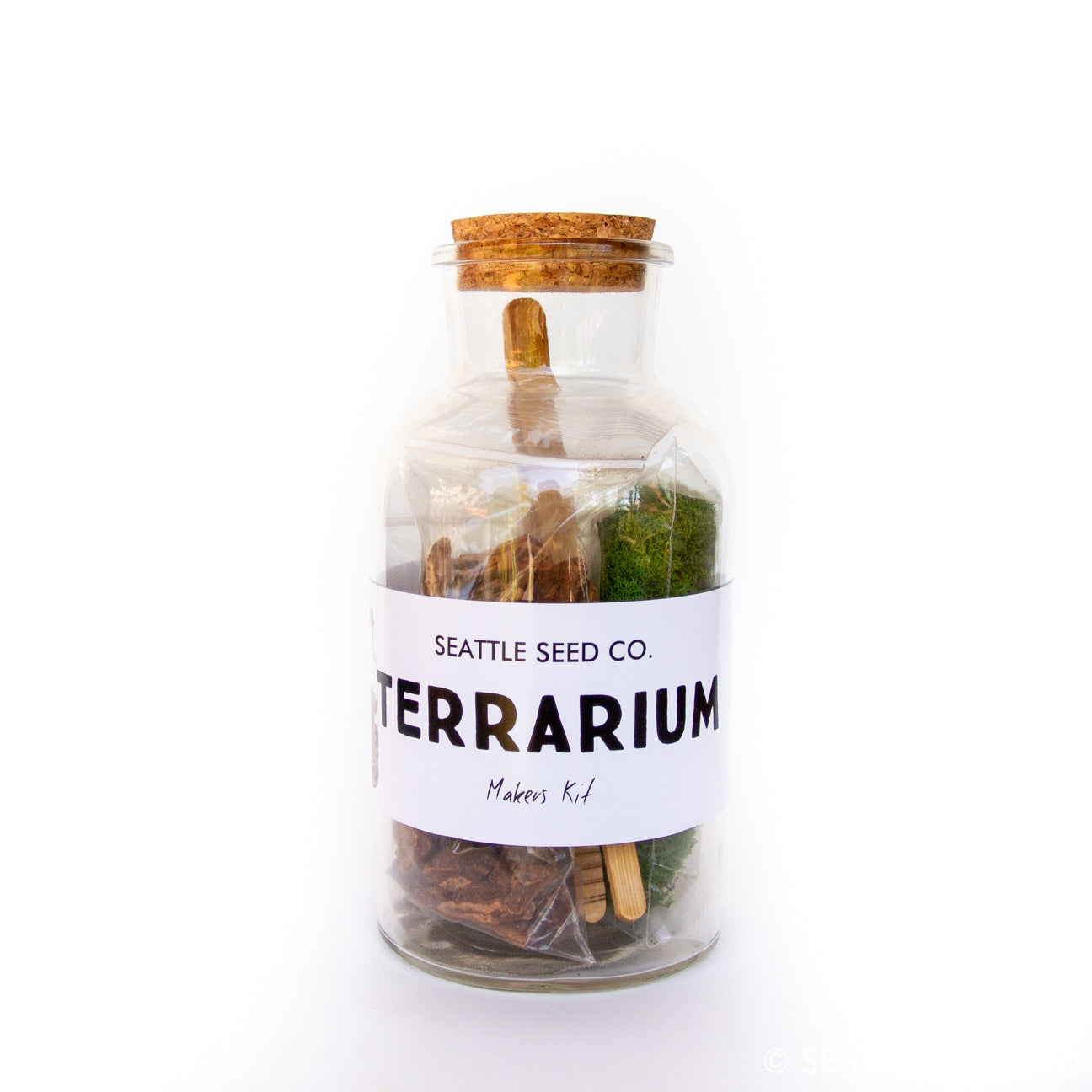 Date Night In DIY Terrarium Kit